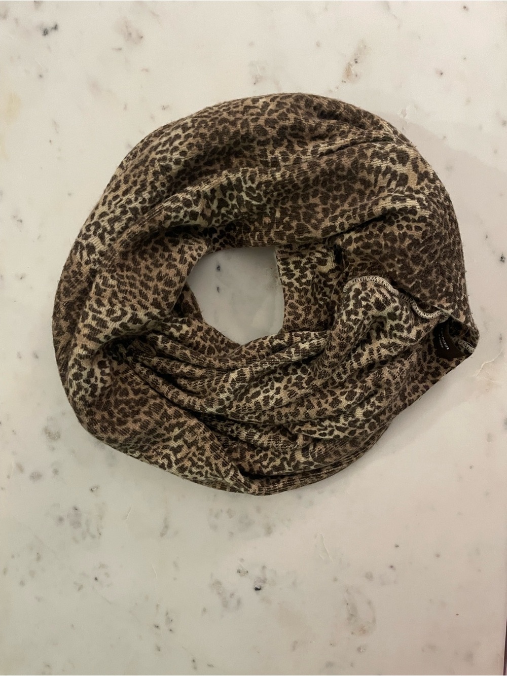 Danier Leopard-Print Infinity Scarf